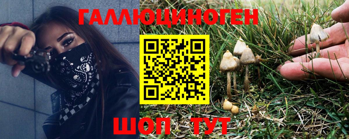 Псилоцибиновые грибы Psilocybine cubensis Нефтеюганск