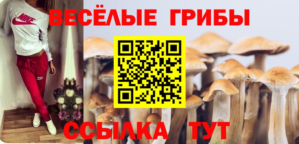 ГАШ  Нефтеюганск  Alpha PVP СОЛЬ кристаллы  Канабис  Меф  МЕФ   Вход с VPN 